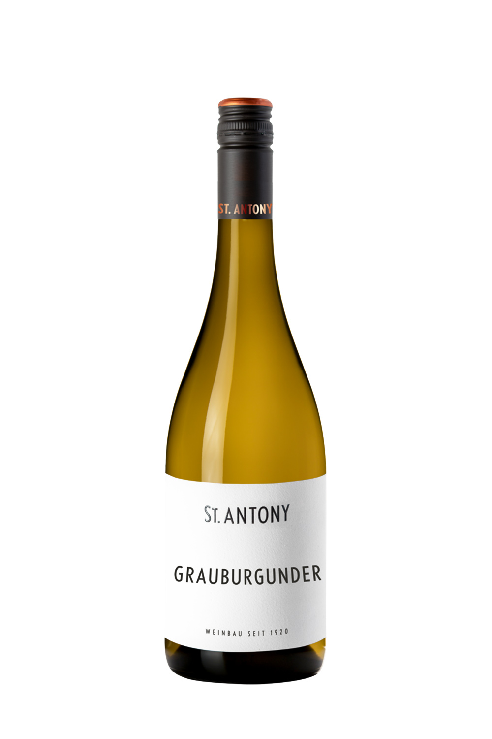 St. Antony Grauburgunder 2024 BIO