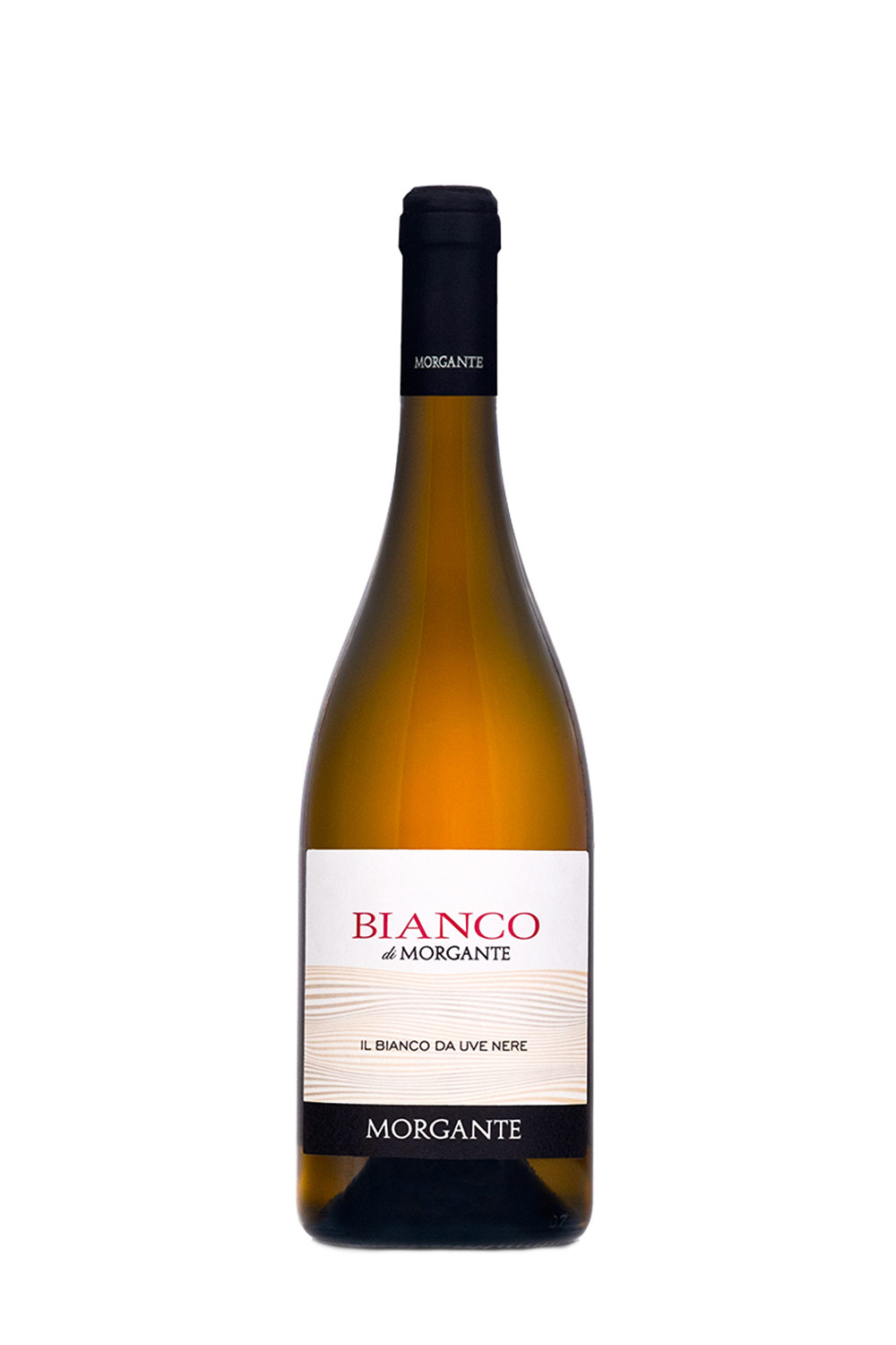 Morgante Bianco di Morgante IGP 2023