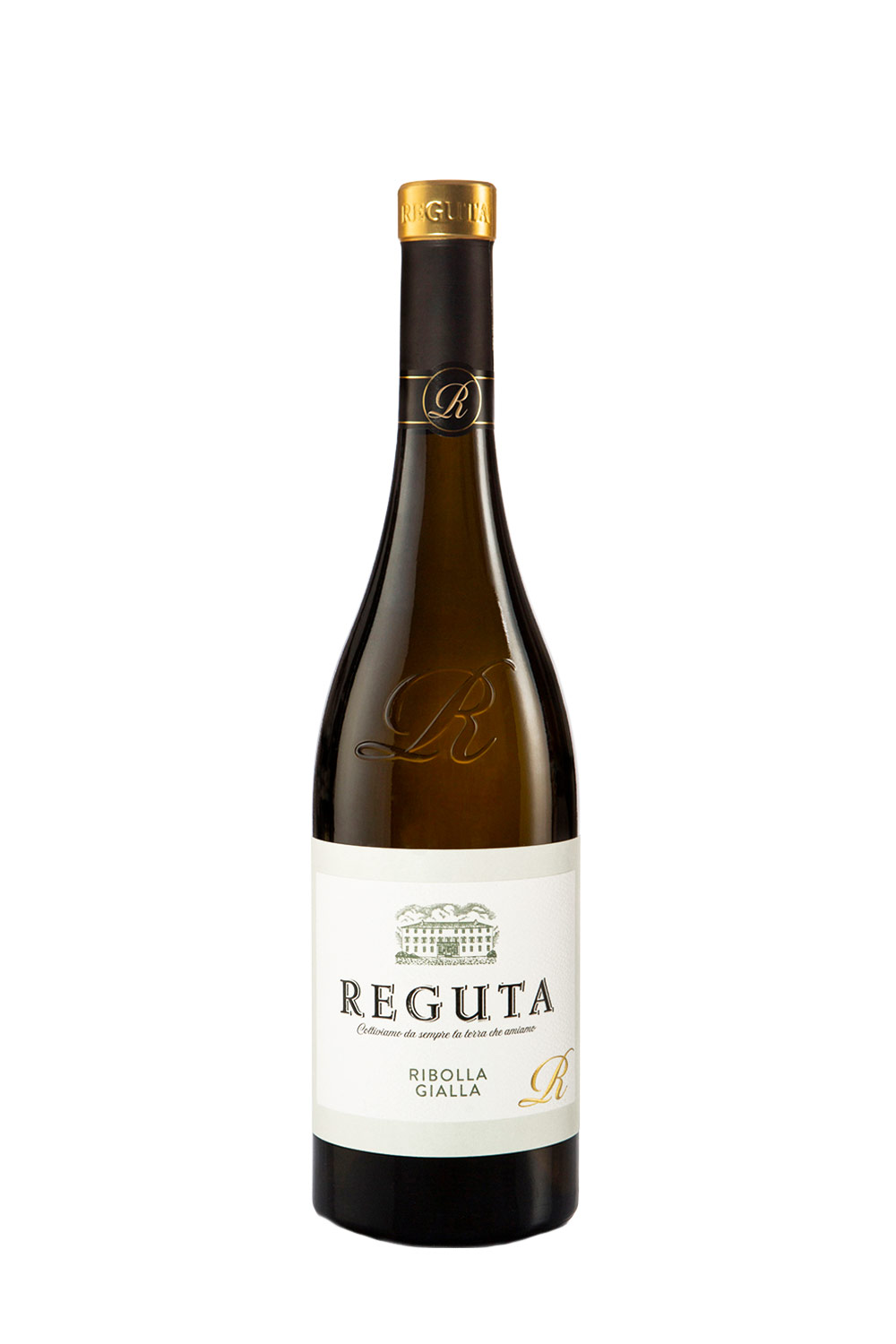 Reguta Ribolla Gialla delle Venezie IGP 2024