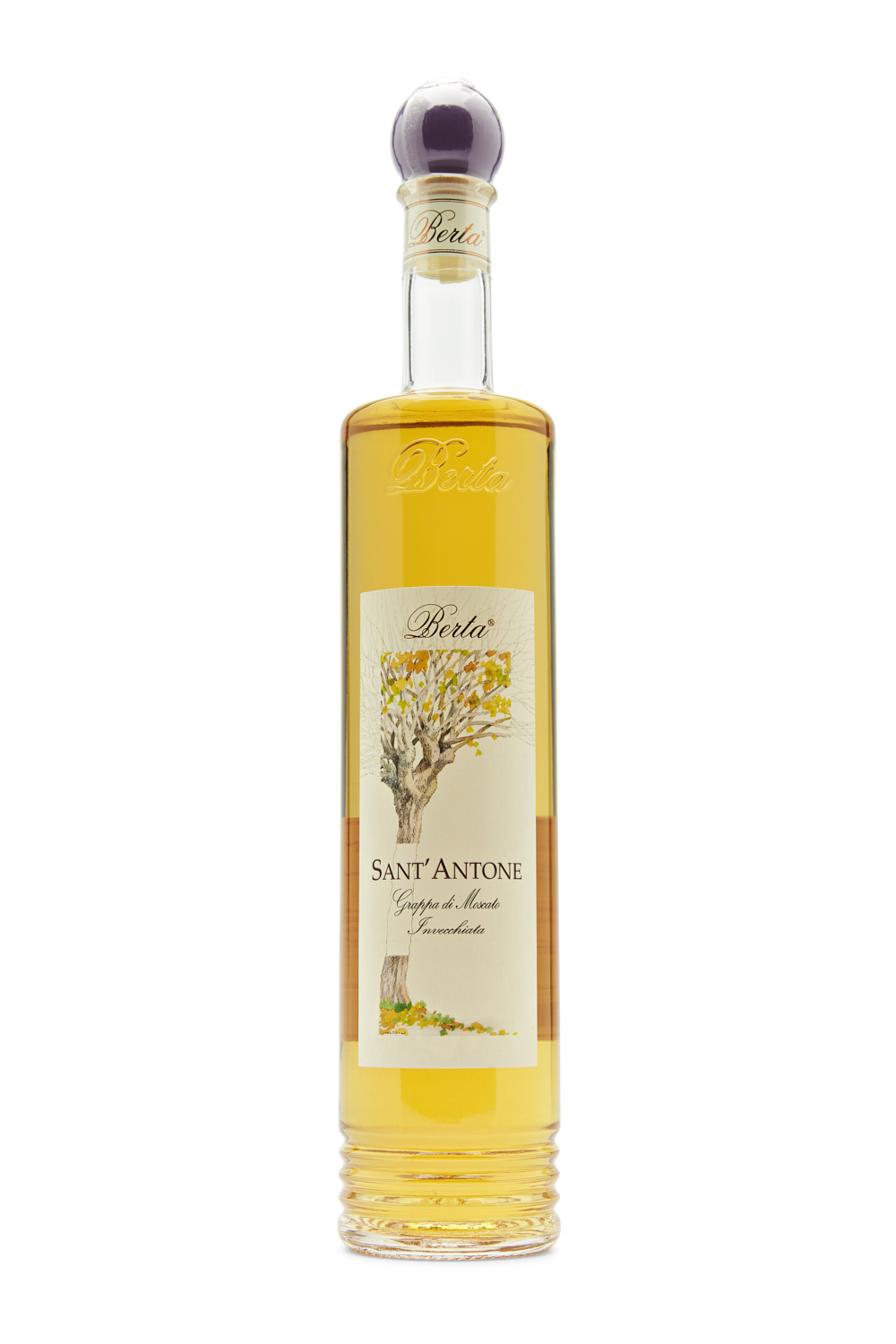 Berta Sant´Antone Grappa di Moscato